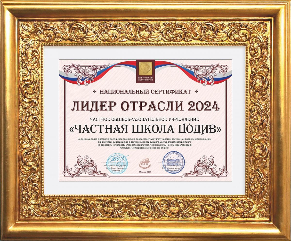 Лидер отрасли 2024